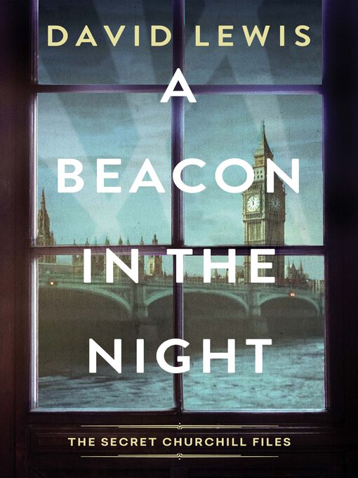 Title details for A Beacon in the Night by David Lewis - Wait list
